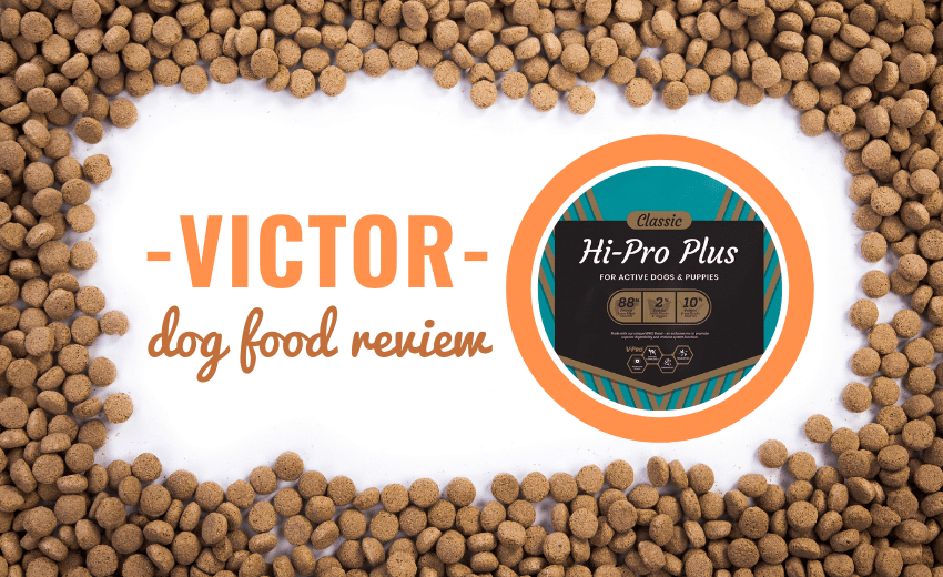 victor-dog-food